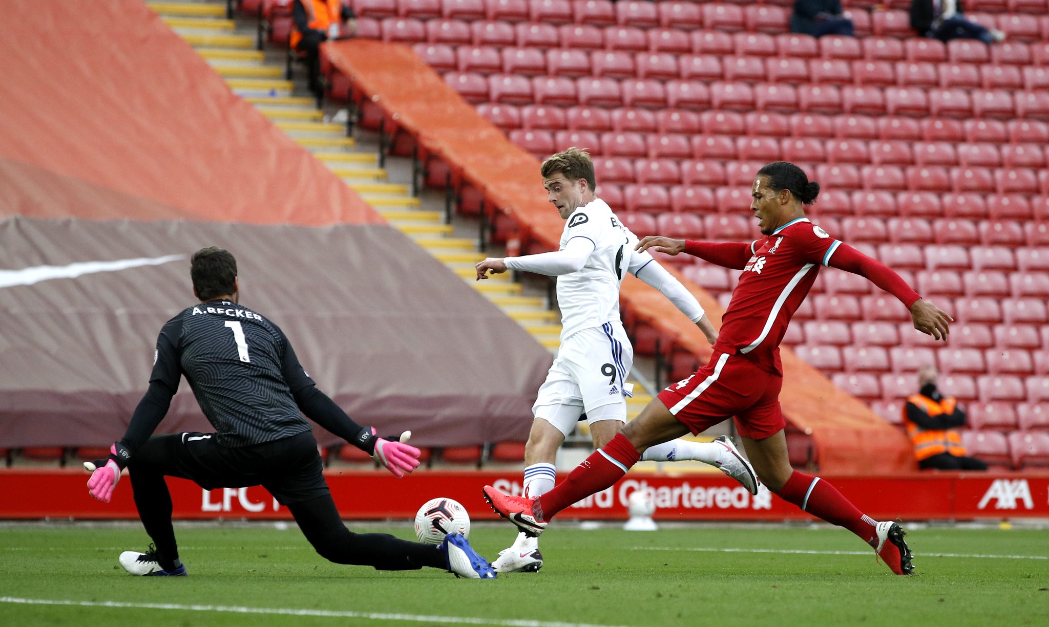 带来了全球 带来了全球